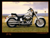 Image of fatboy_harley2000.gif