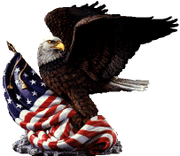 Image of usaeagle.gif